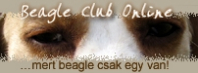 http://www.beagle-club.hu