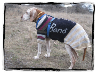 Beno.jpg