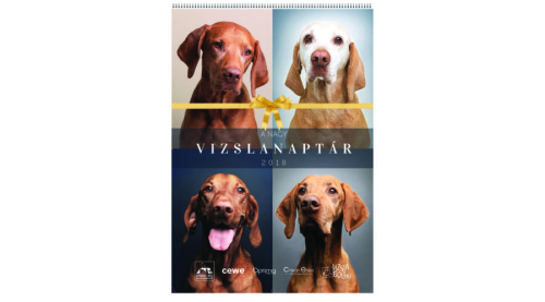 vizslanaptar2018.jpg