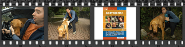 Bazsó Gábor vizslája