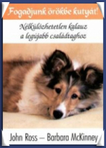 fogadjunk örökbe kutyát.jpg