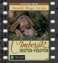 Cimborák hegyen-völgyön