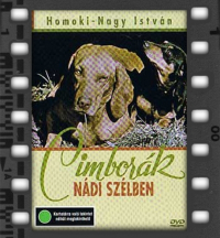 Cimborák nádi szélben