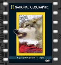 RAgadozónak születtek - A kutyák