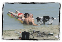 Kutyák a vízben.jpg