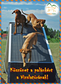 Vizslapalánk.jpg