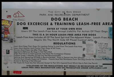 Dog Beach.jpg