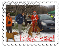 09_Mikulasunk_sippal_es_vizslakkal copy.jpg