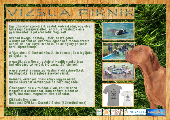 vizslapiknik1.jpg