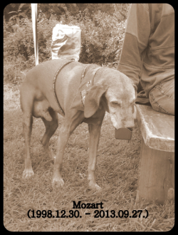 2013-09-22 10.45.10.jpg