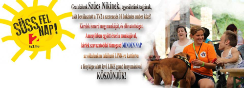 niki0.jpg