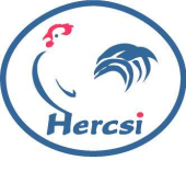 hercsi.jpg