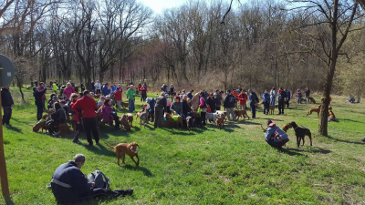 Pusztabiro-hazi_ erdei_piheno.jpg