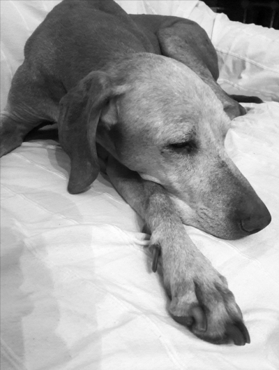 Csipkeskuti_Sari (Bodza)20030902_20180522.jpg