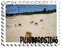 24. Vizsla Túra P7260334_stamp.jpg